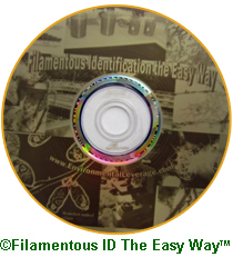 Filamentous ID The Easy Way CD