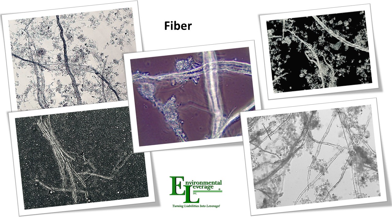 Fiber in wastewater