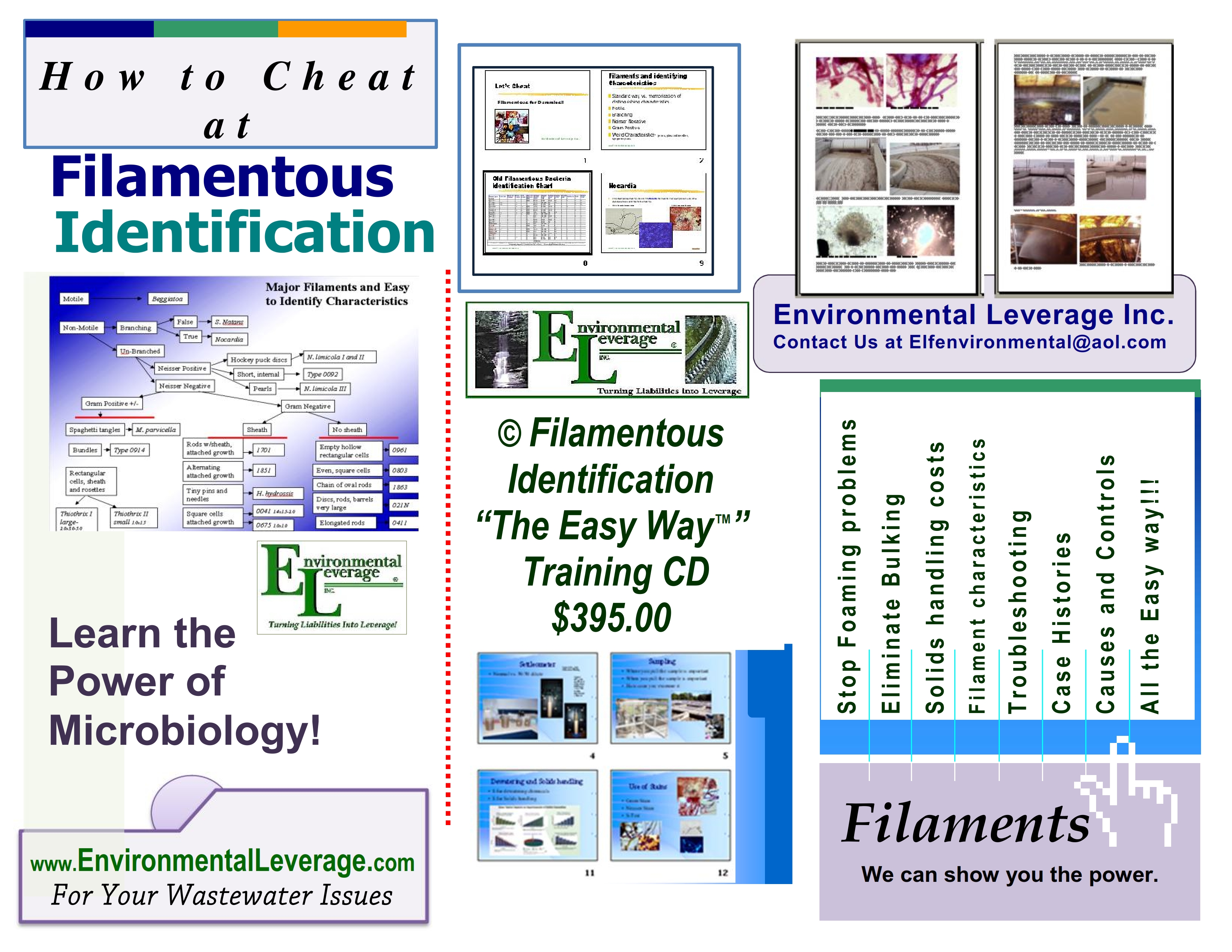 Filamentous ID The Easy Way Training CD