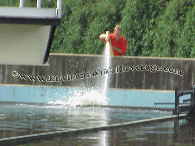cleaning weirs