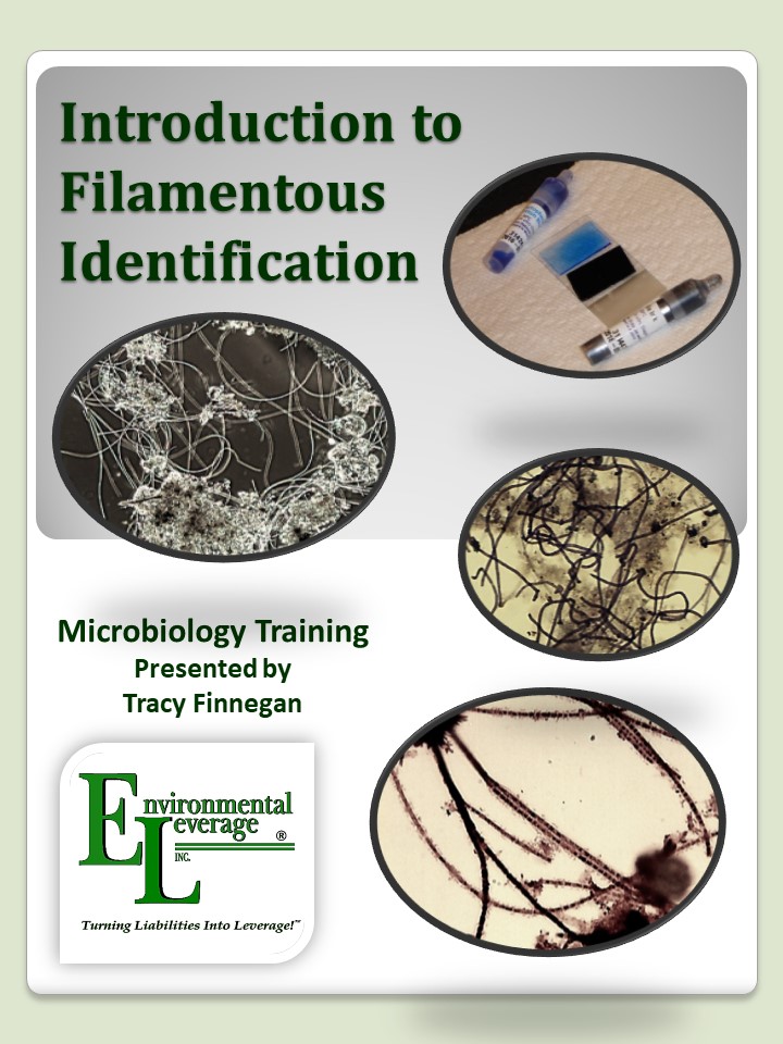 Filamentous Identification