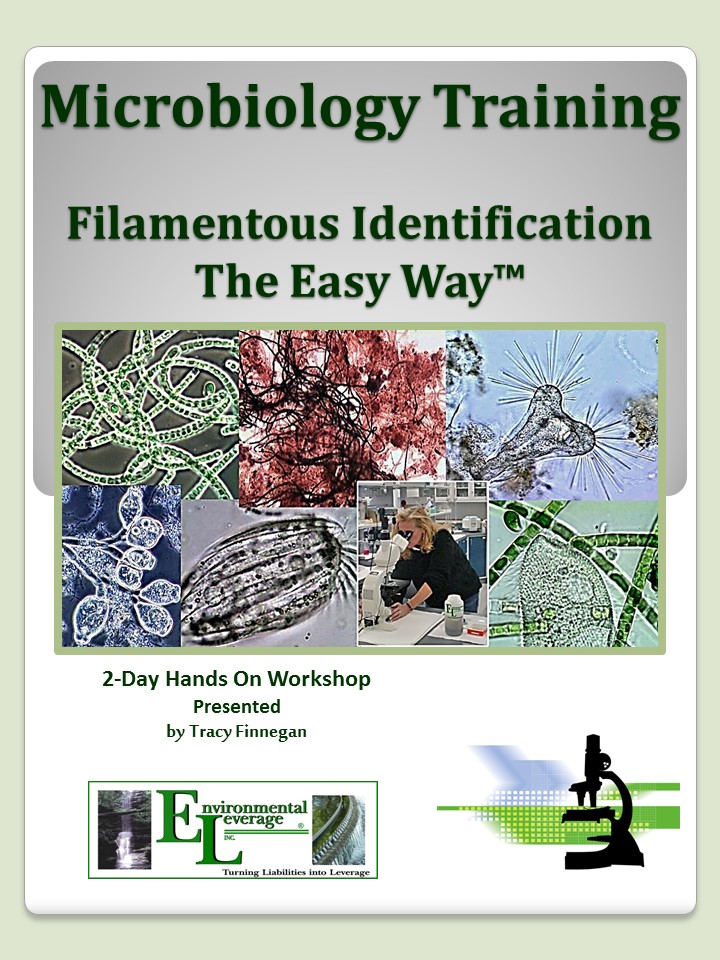 Filamentous Identification