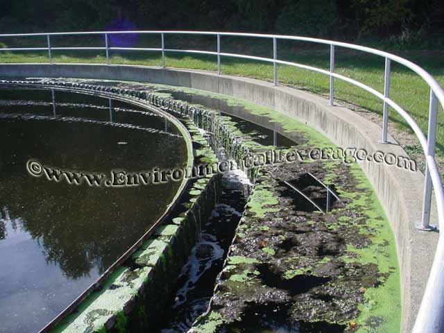 clarifier weris