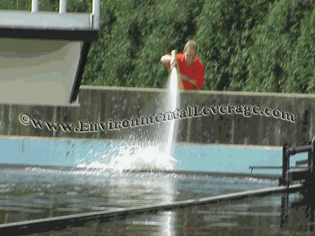 weir maintenance and algae control