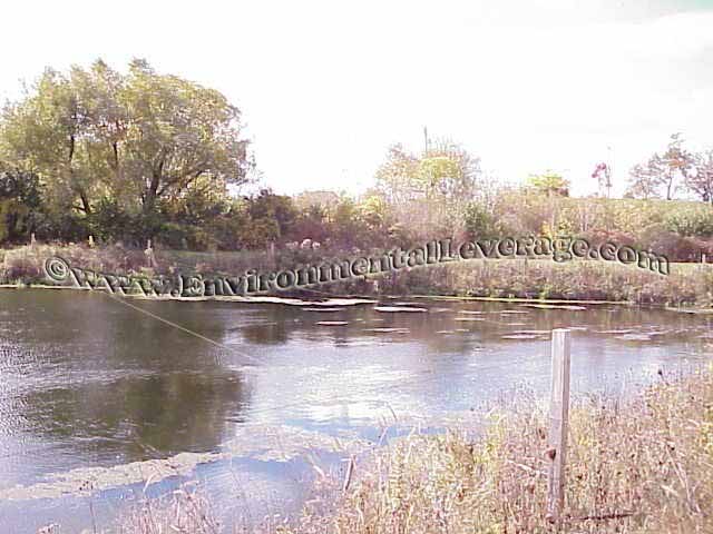 municipal lagoon