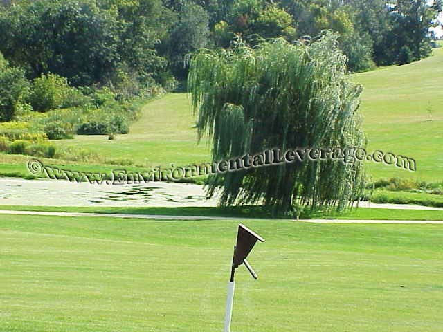 golf course algae pond, Wastewater Training and waste water eLearning training