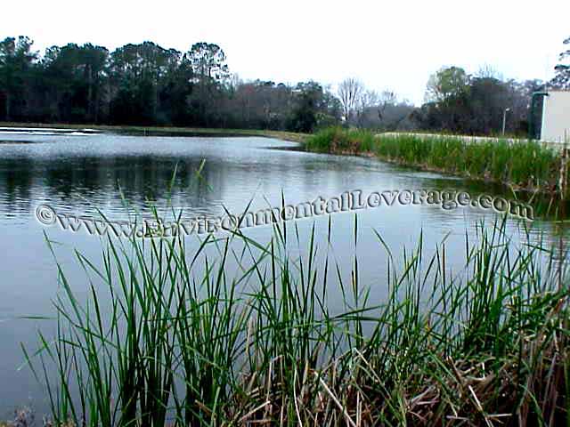 gunpowder wetland