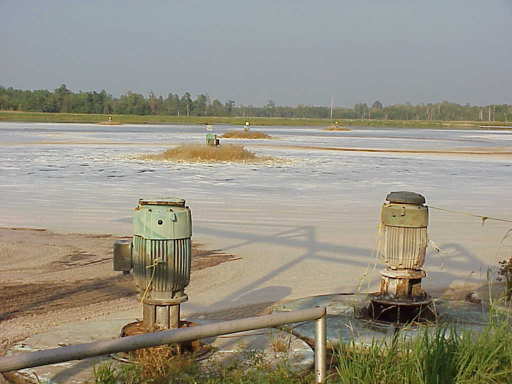 Papermill lagoons ASB