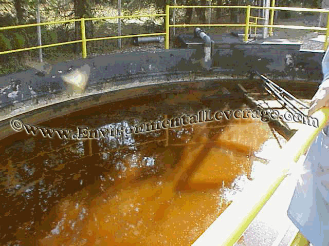 paint primary clarifier