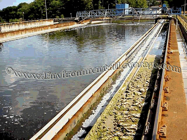 algae in clarifier