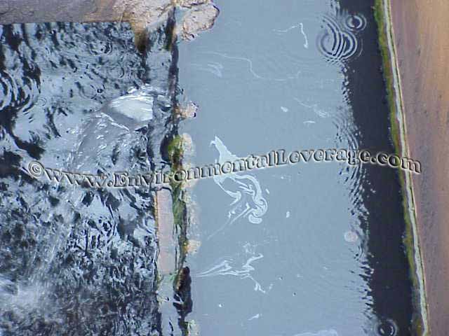 oil on clarifier