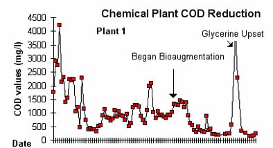 cod reduction bioaugmentation trial