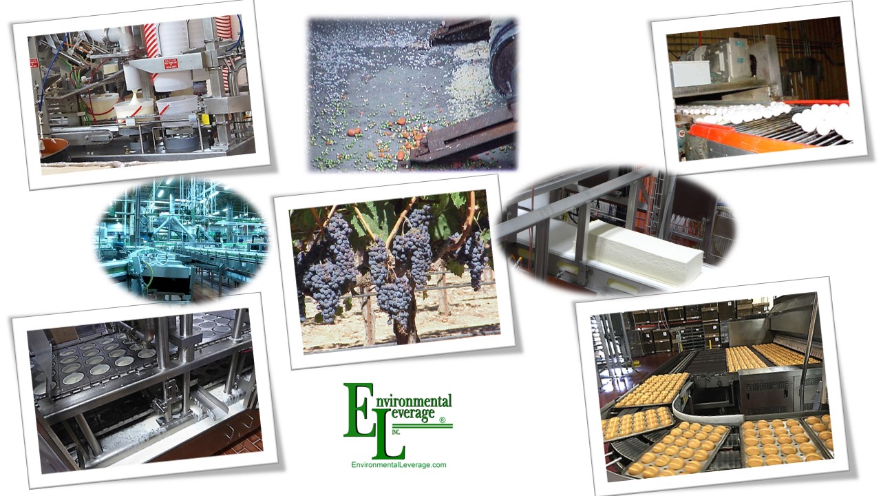 Food and beverage wastewater treatment