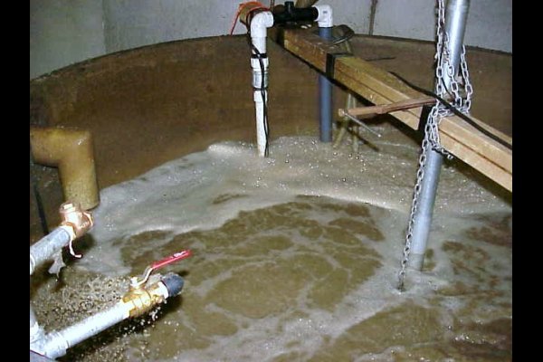 food and beverage wastewater lagoons bioaugmentation
