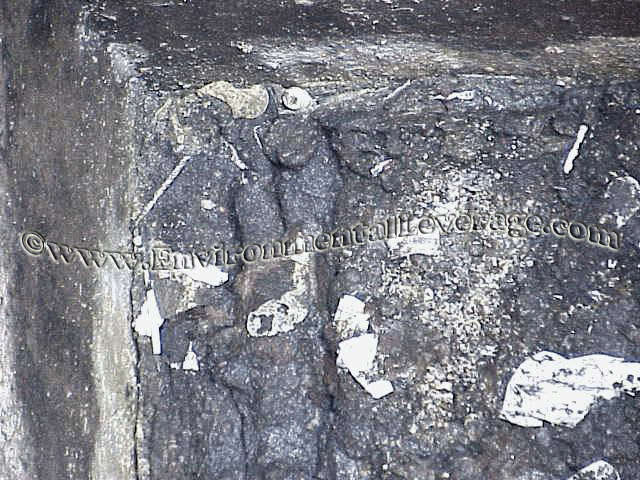 grease in lift station