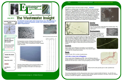 Wastewater Insight Newsletter 