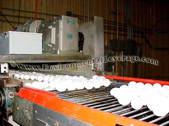 Egg production