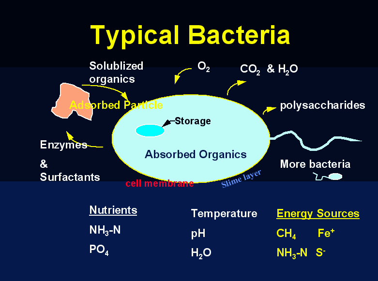 Critical 5