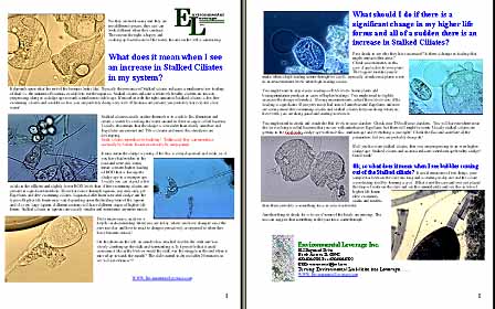 stalked ciliate, Plant Operations Seminar, wastewater training, operators training