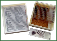 Wastewater systems microscope slides