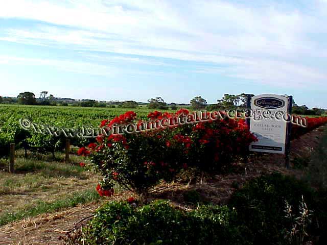 winery wastewater